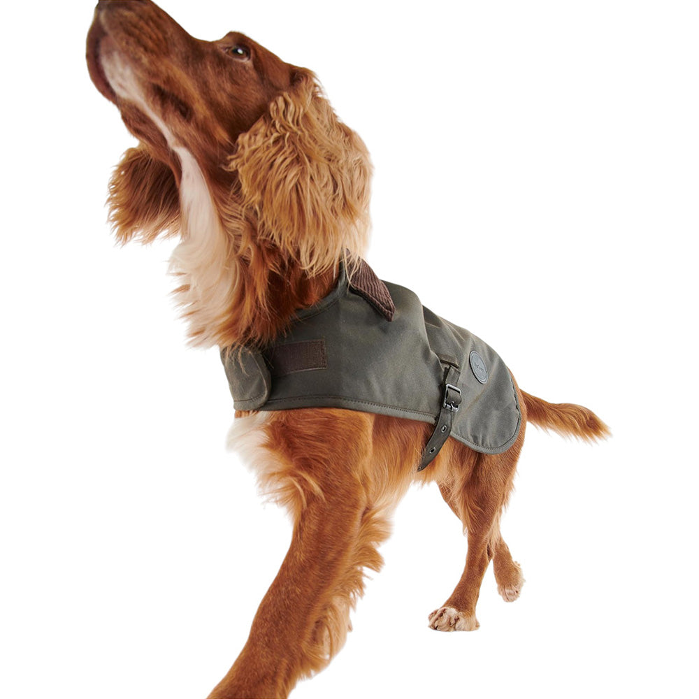 BARBOUR WAX DOG COAT – D-mop - Main Image