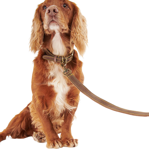 BARBOUR LEATHER DOG LEAD