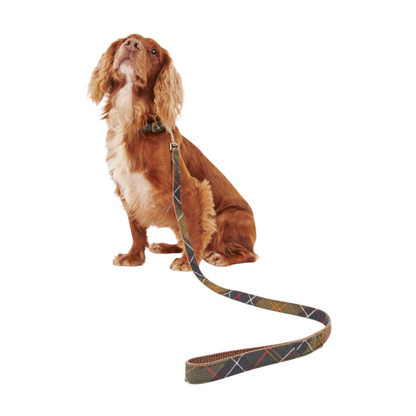 BARBOUR TARTAN WEBBING DOG LEAD