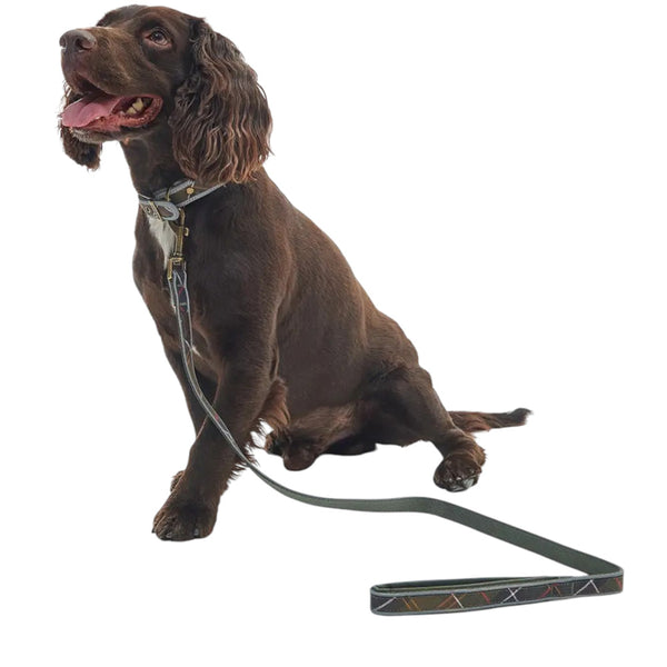 BARBOUR REFLECTIVE TARTAN COMFORT DOG LEAD