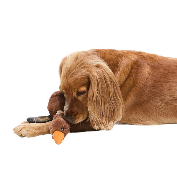BARBOUR FLY DUCK DOG TOY